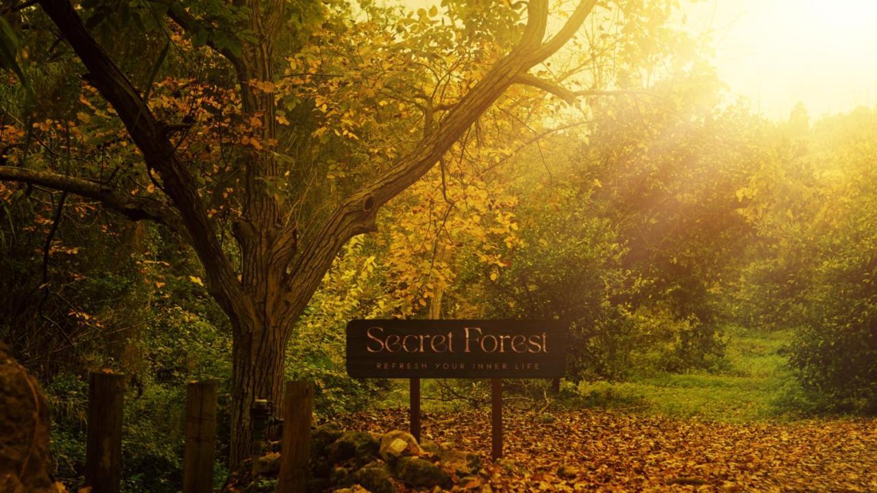 Secret Forest - Wellness Retreat & Healing Spa (Adults Only) Miliou Eksteriør bilde